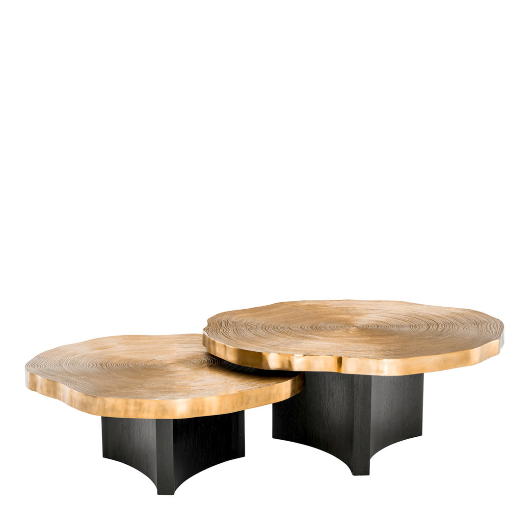 Thousand Oaks Coffee Table - Set of 2 - Gold & Black