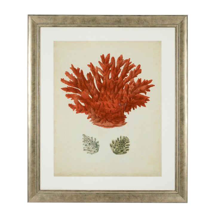 Eichholtz Antique red corals Wall Art Set of 6 - Color