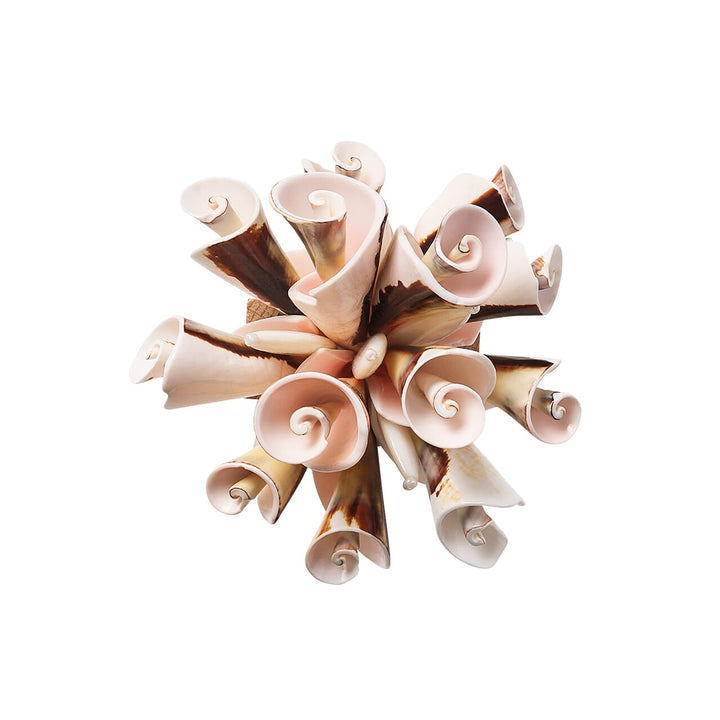 Kim Seybert Seashell Burst Napkin Ring in Ivory & Natural Set of 4
