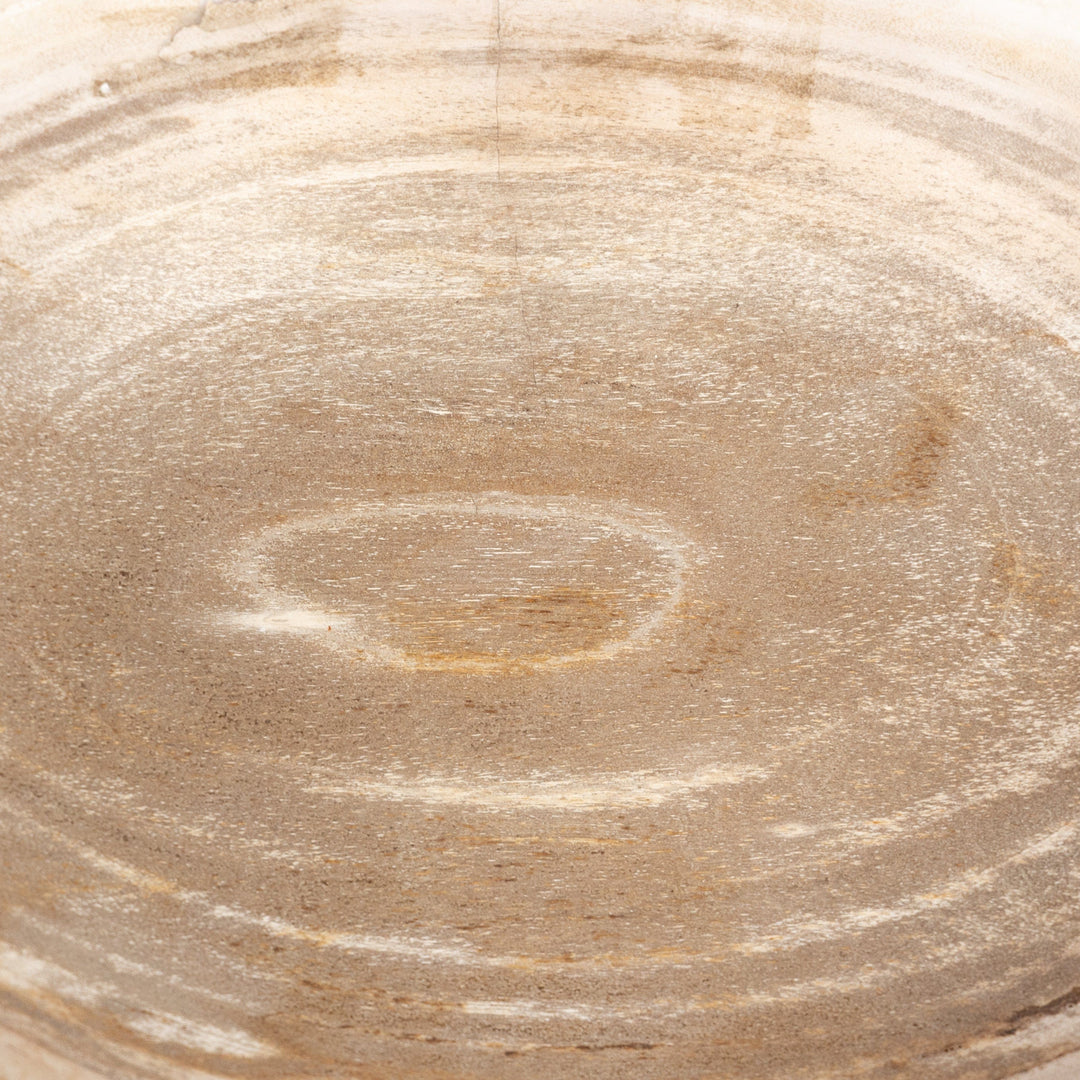 Oval Petrified Wood Bowl - Petrified Wood