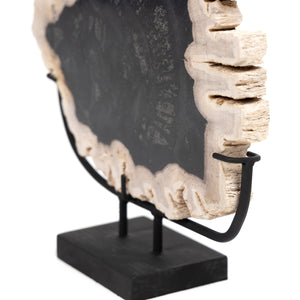 Petrified Wood Sculpture - Dark