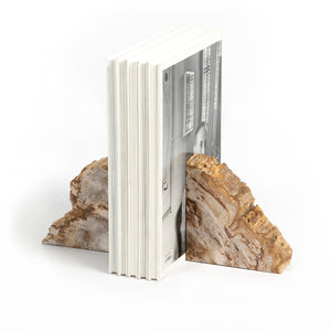 Petrified Wood Book Ends - Light