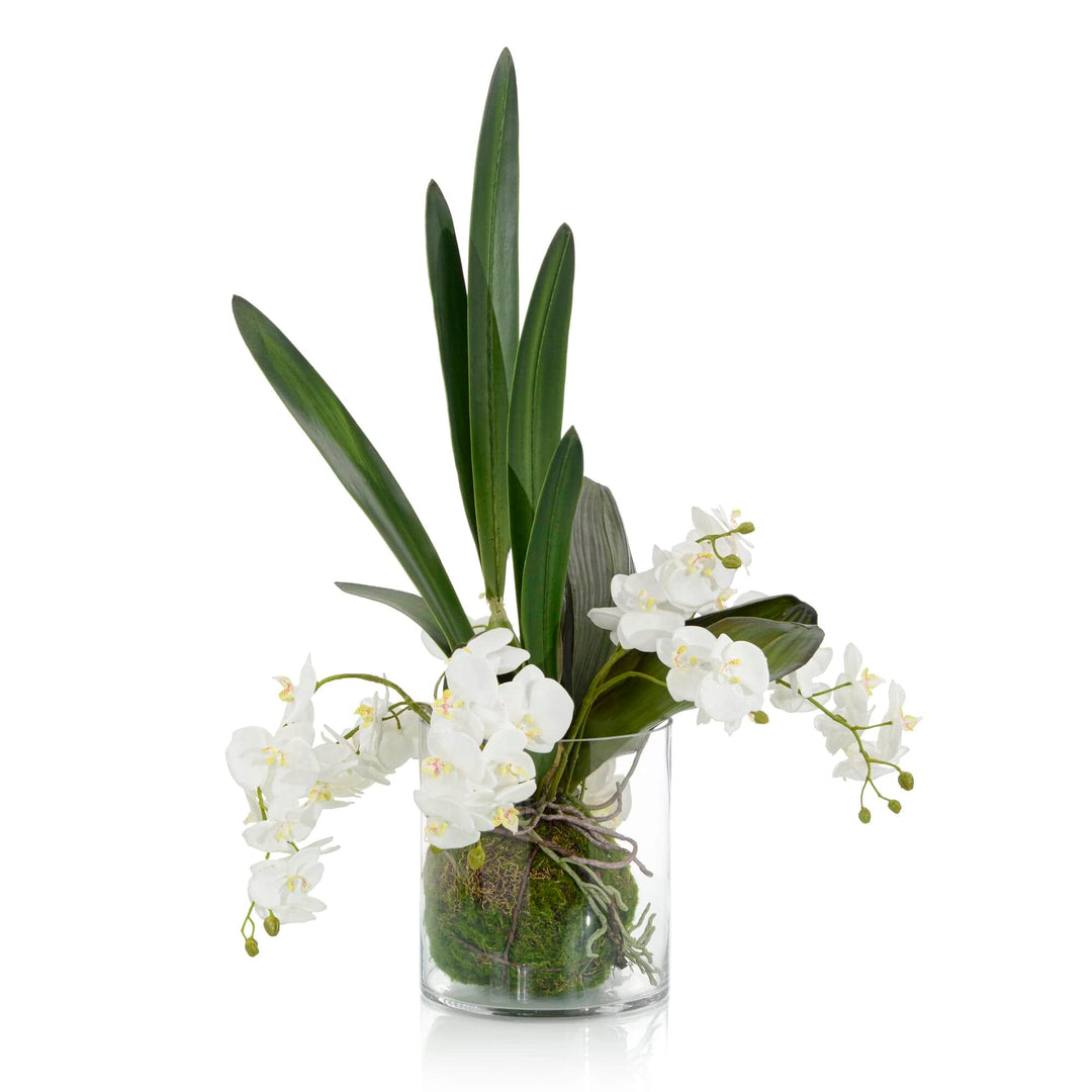 John Richard John Richard Mossy Orchids - White JRB-4851