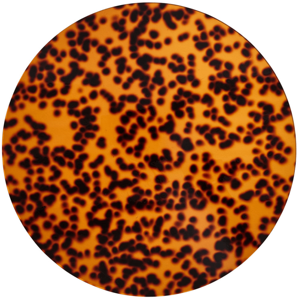 Kim Seybert Kim Seybert Acrylic Tortoise Placemat in Brown – Set of 4 PM2201109BRN