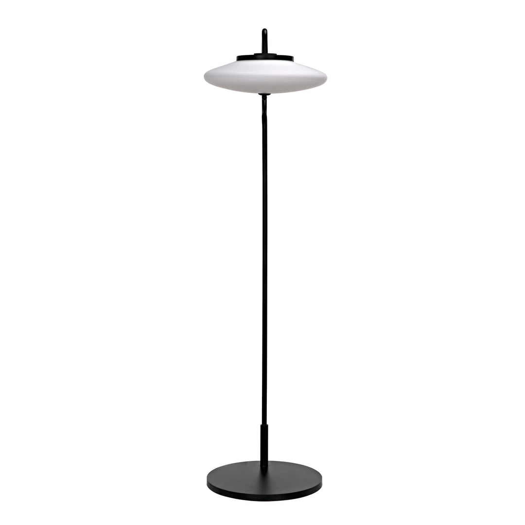 Liva Floor Lamp - Black Steel